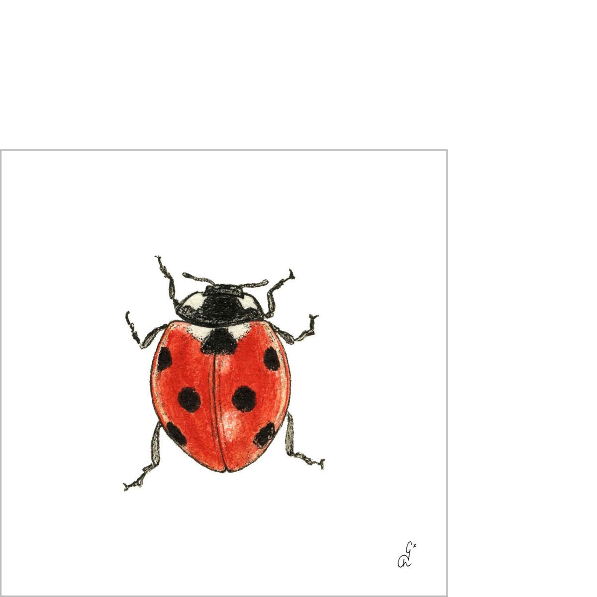 Madeleine sur blanc Napkin 25x25 Madeleine sur blanc Napkin 25x25