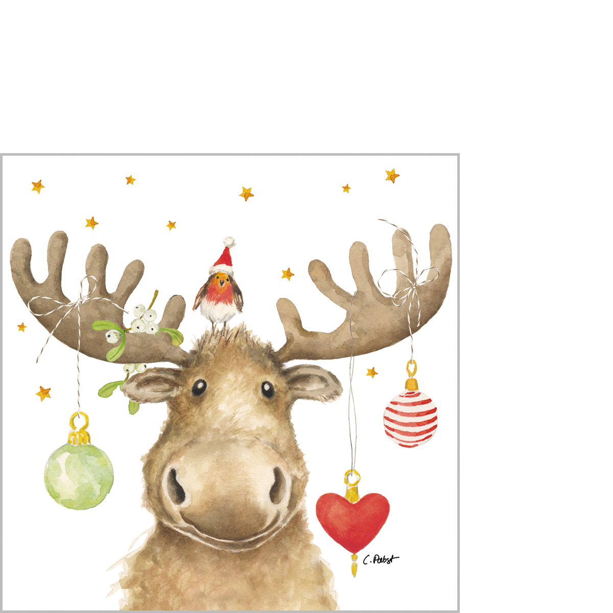 Elmo & Friend Napkin 25x25