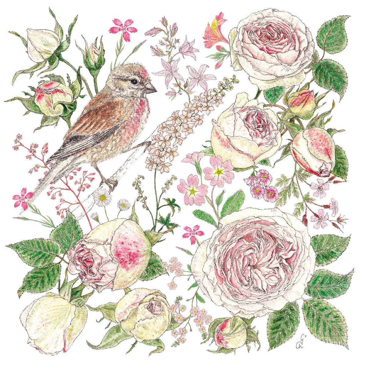 La vie en rose Napkin 33x33 La vie en rose Napkin 33x33