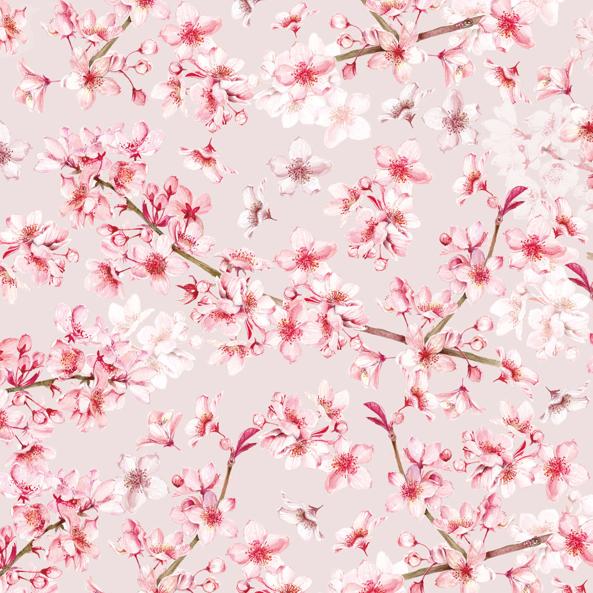 Fiori di ciliegio Napkin 33x33 Fiori di ciliegio Napkin 33x33