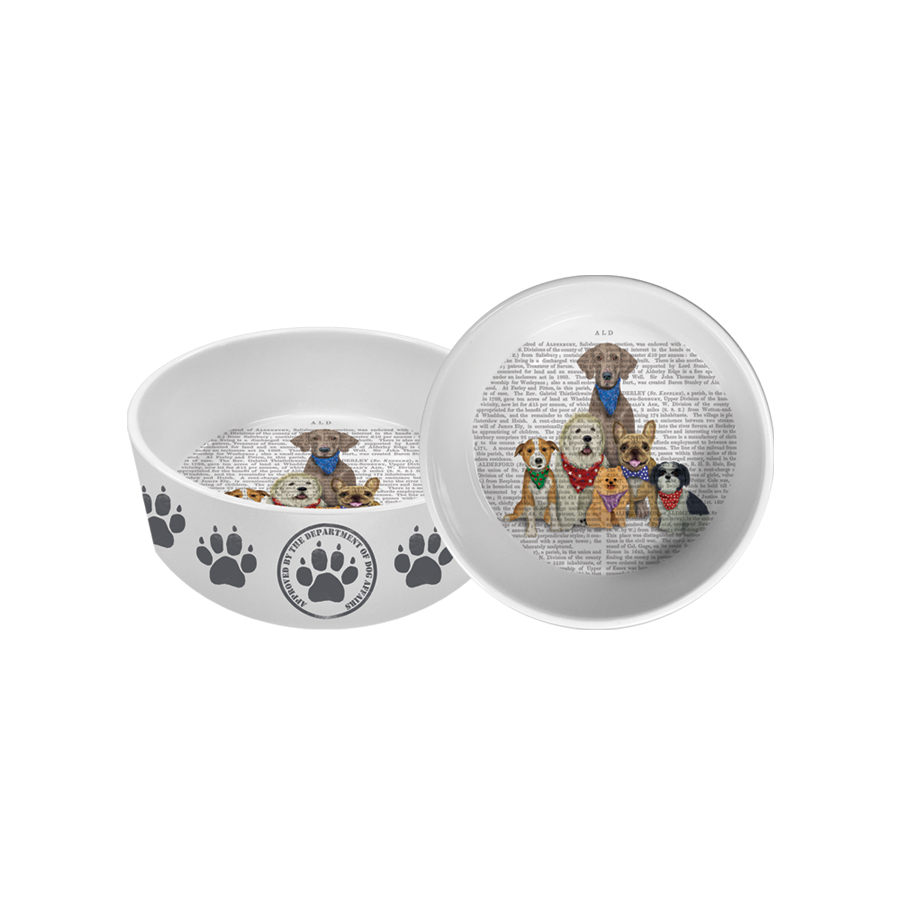 Paw Paw Gang Pet Bowl small