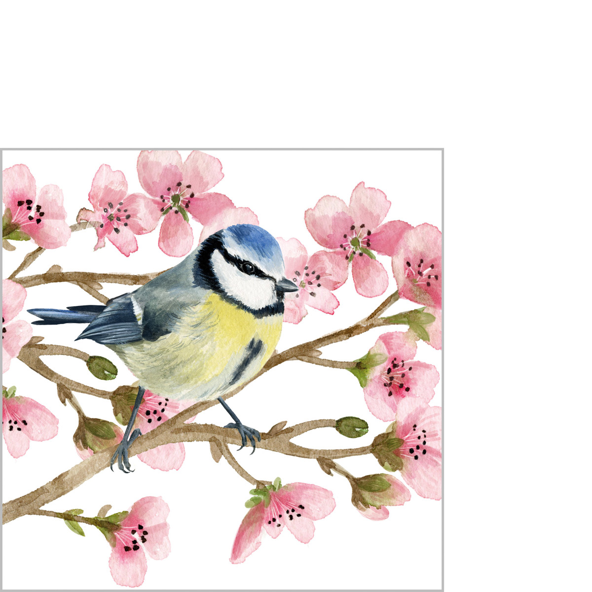 Oiseau Printemps Napkin 25x25