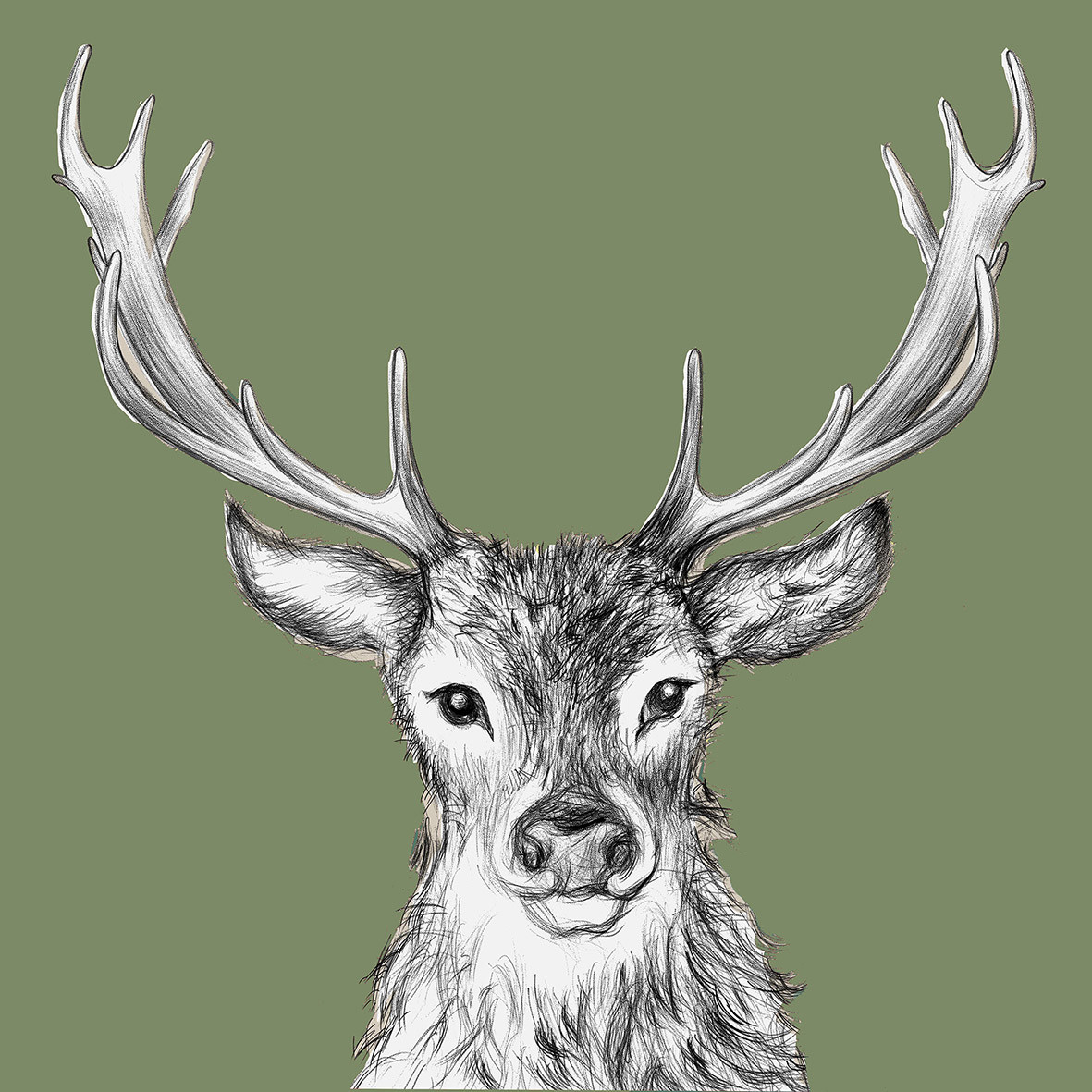 Paul green Napkin 33x33