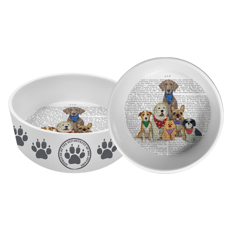 Paw Paw Gang Pet Bowl large