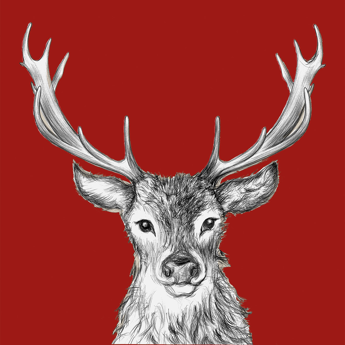 Paul red Napkin 33x33