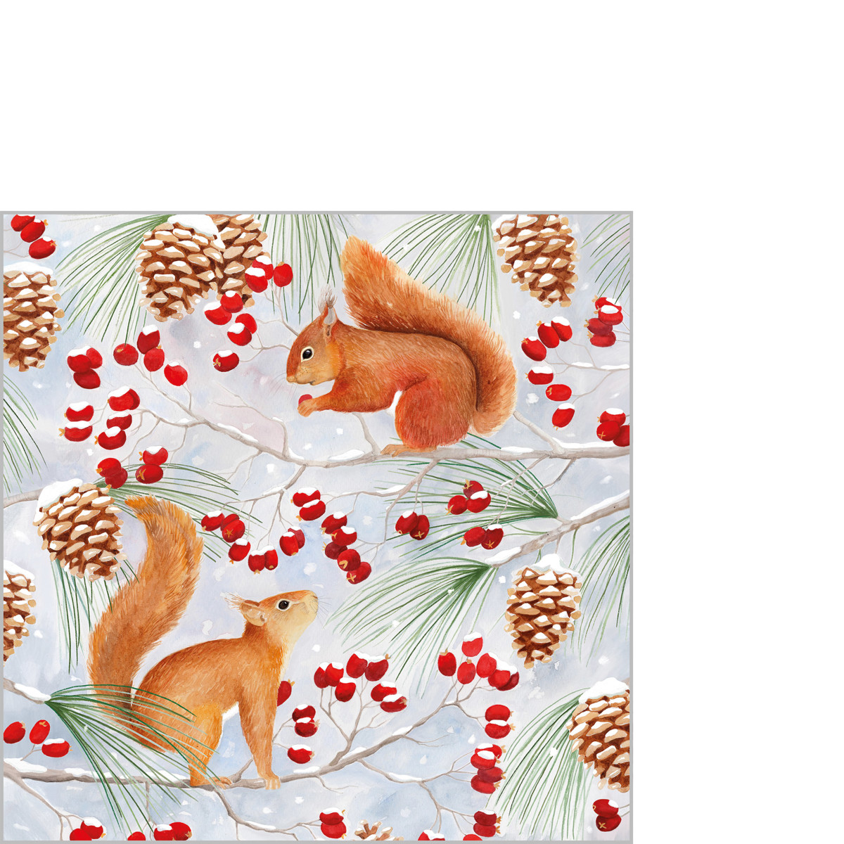 Squirrel Chat Napkin 25x25