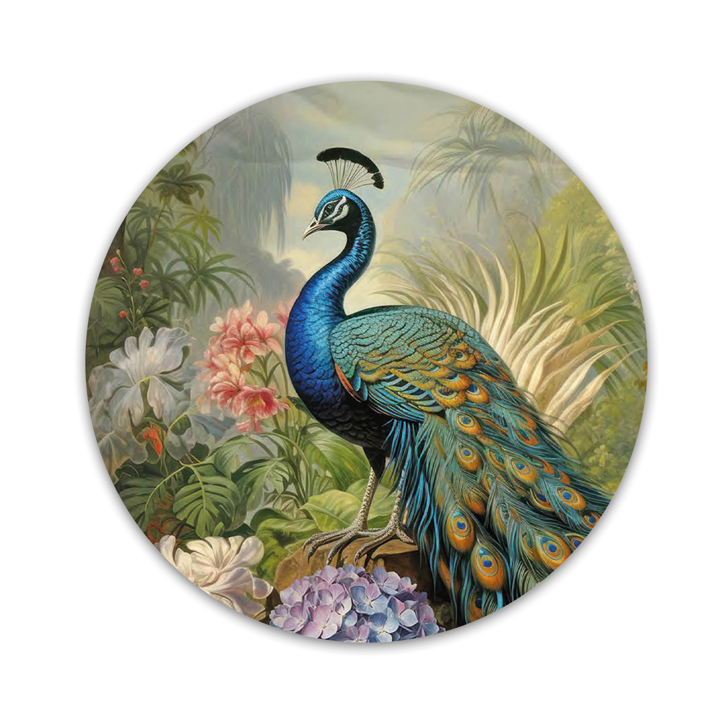 Olympos FBC Plate