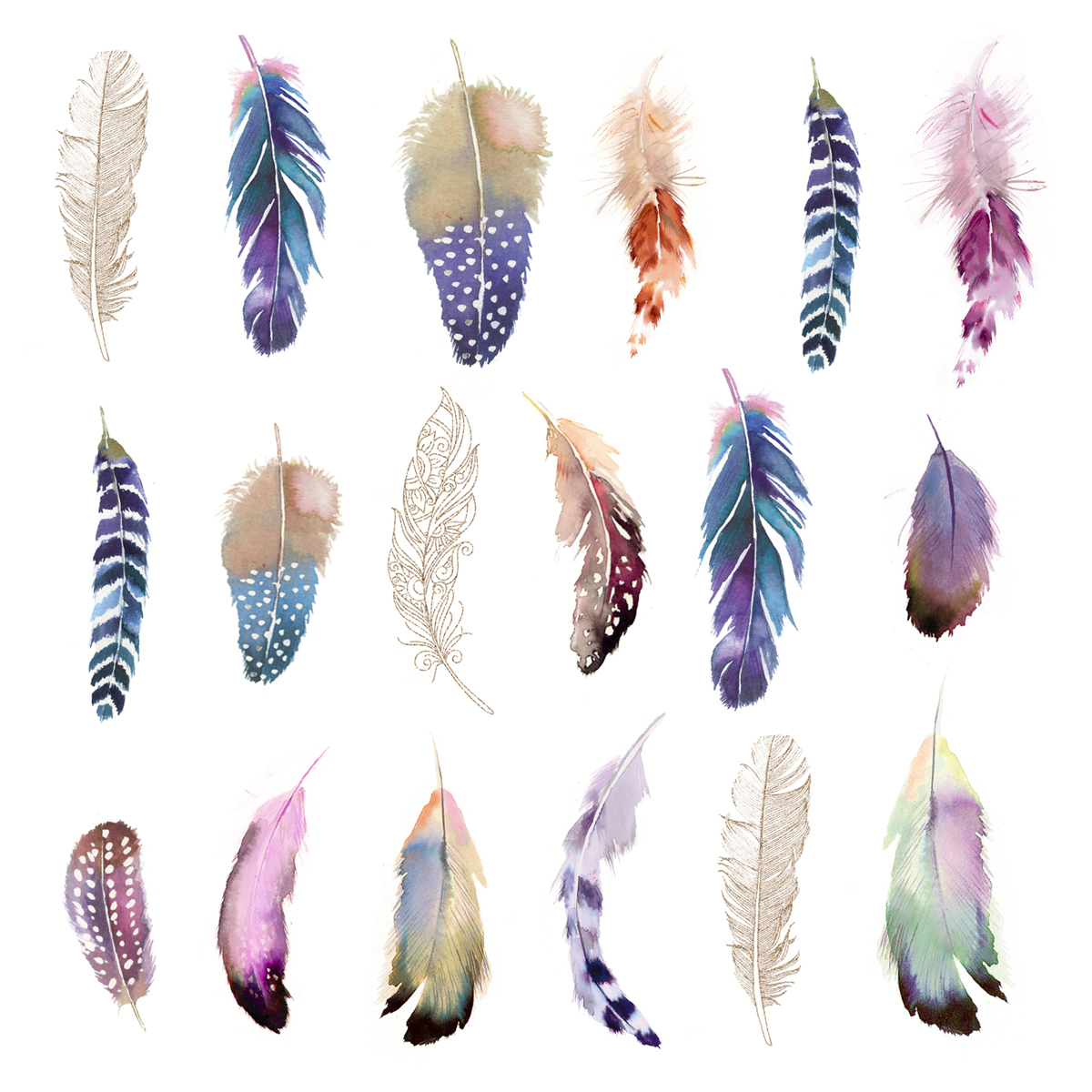 Feathers Fantasy 33x33 cm