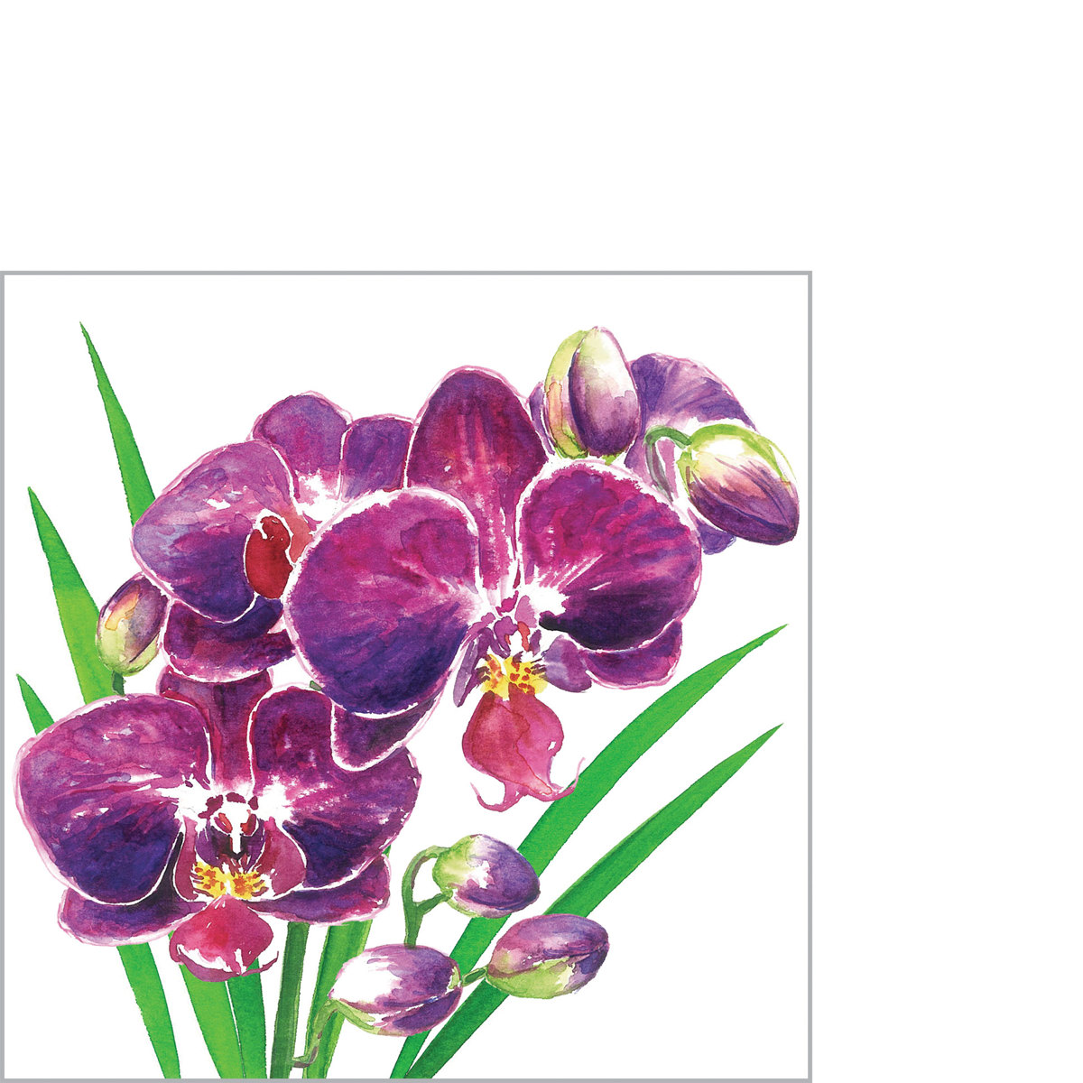 Orchidea Napkin 25x25