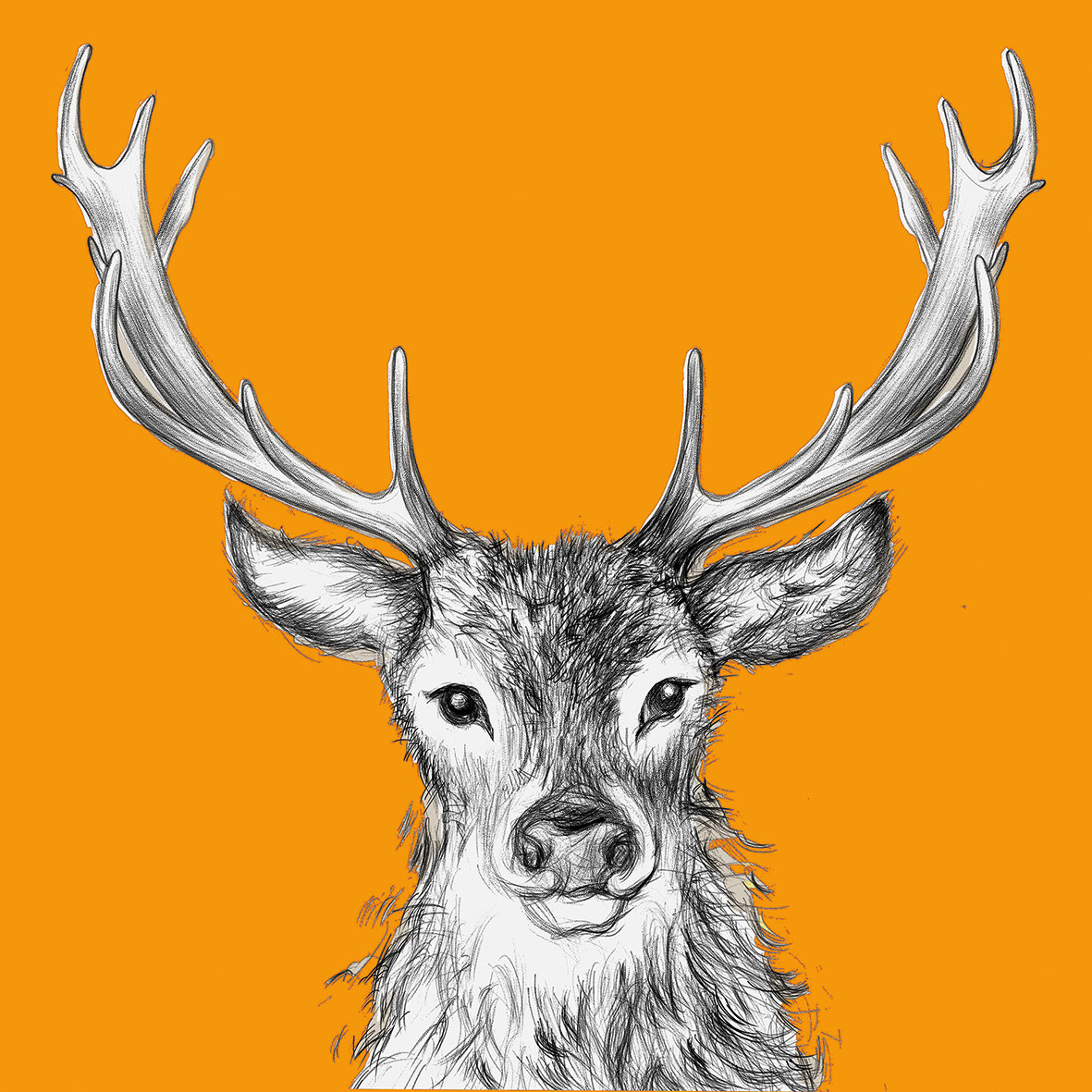 Paul orange Napkin 33x33