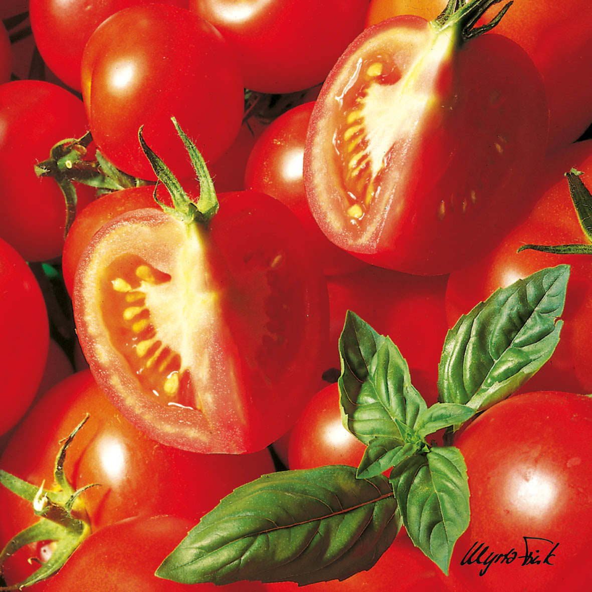 Mixed Tomatoes Napkin 33x33