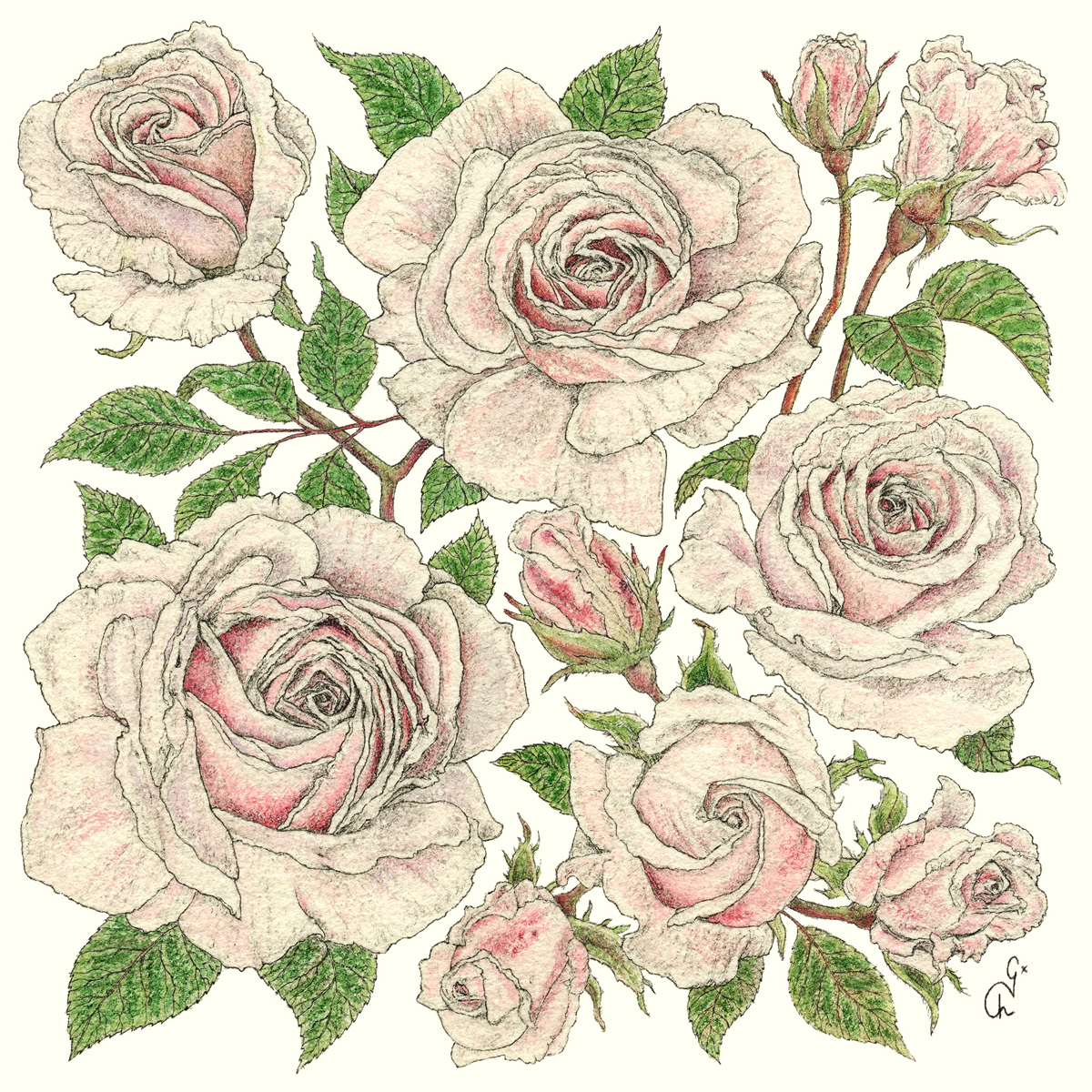 Roses Napkin 33x33 Roses Napkin 33x33