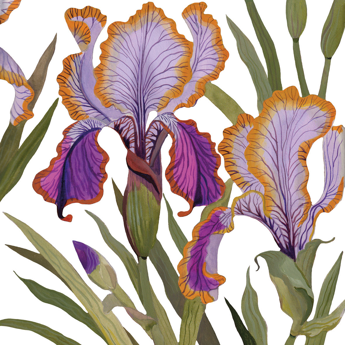 Dominique Napkin 33x33