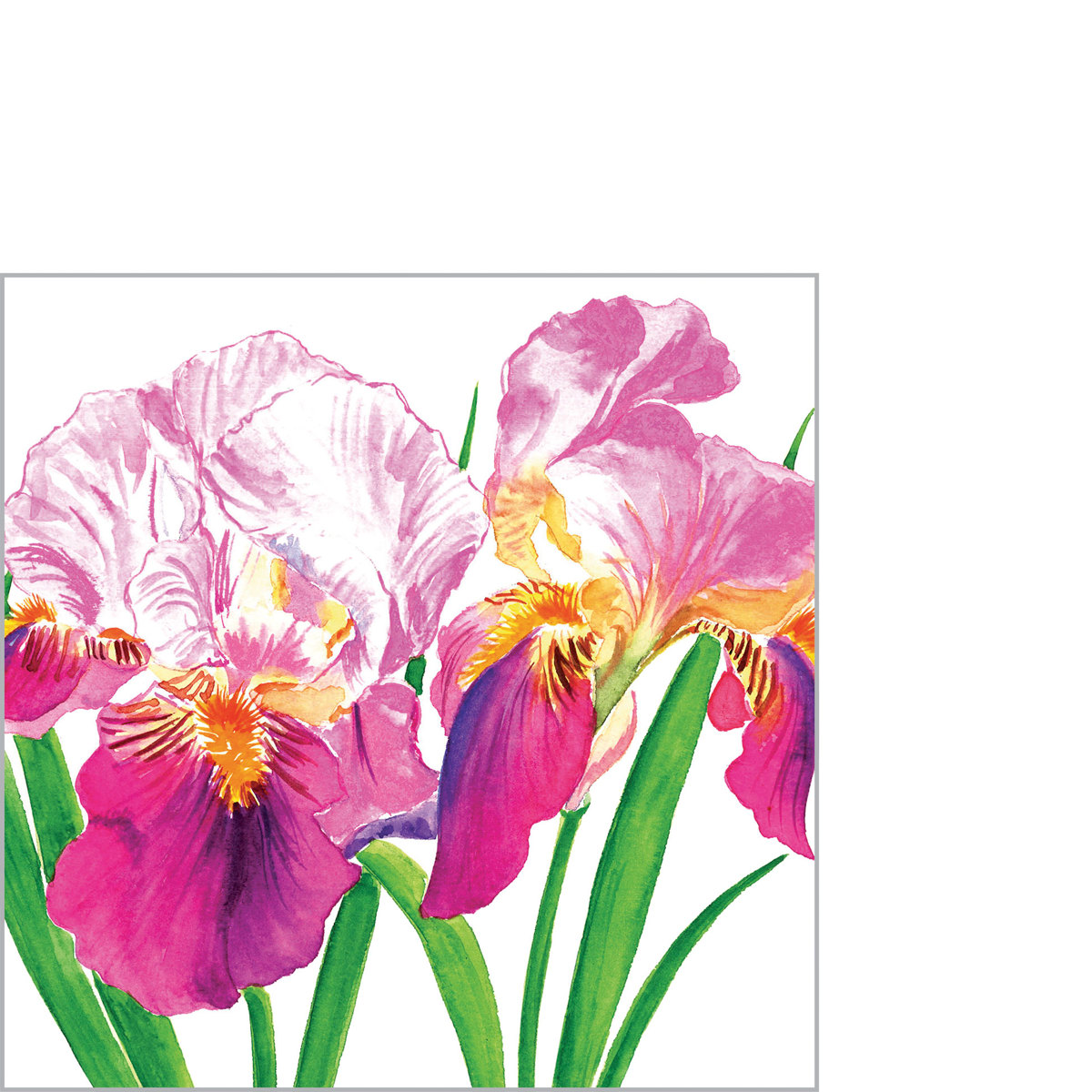 Sweet Iris Napkin 25x25