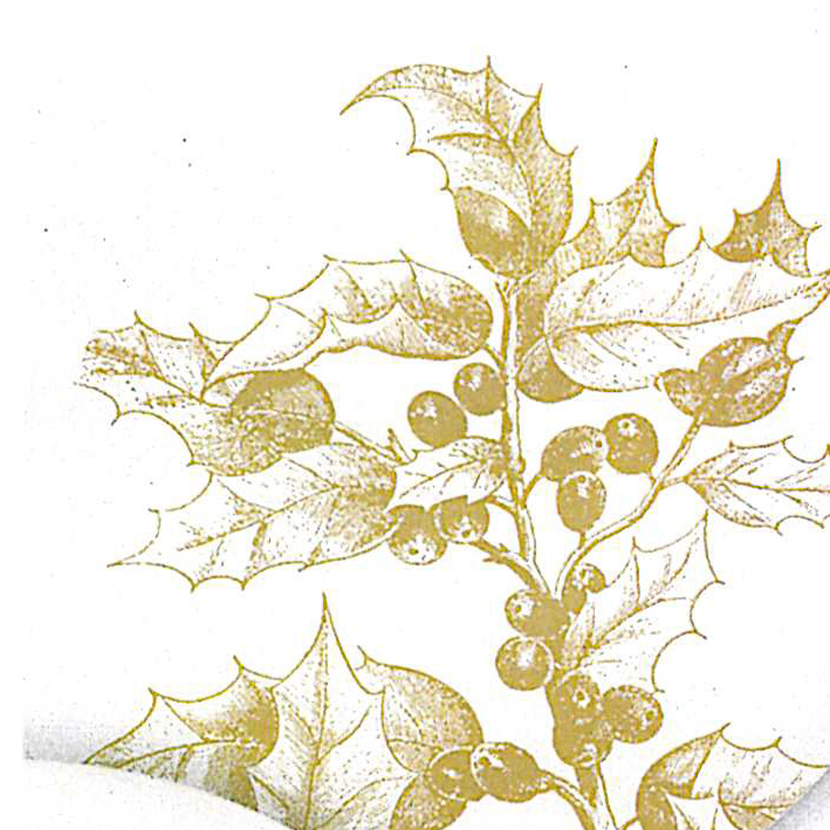 Engraved Flora 25x25 cm
