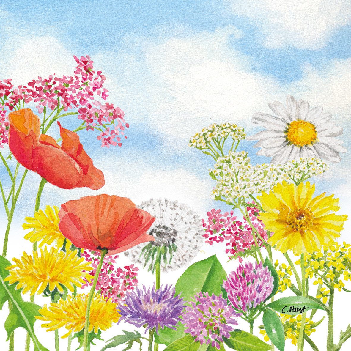 Summer Day Napkin 33x33