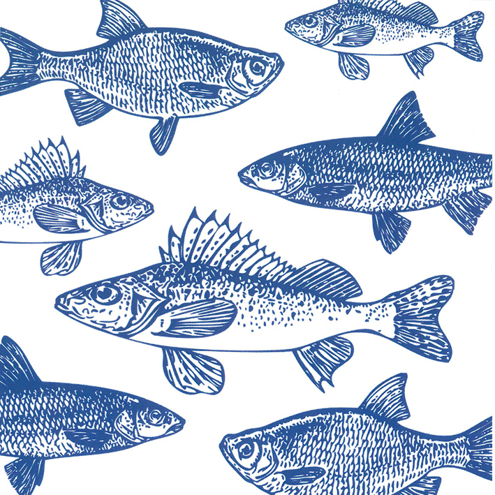 Graphic Fishes marine 33x33cm