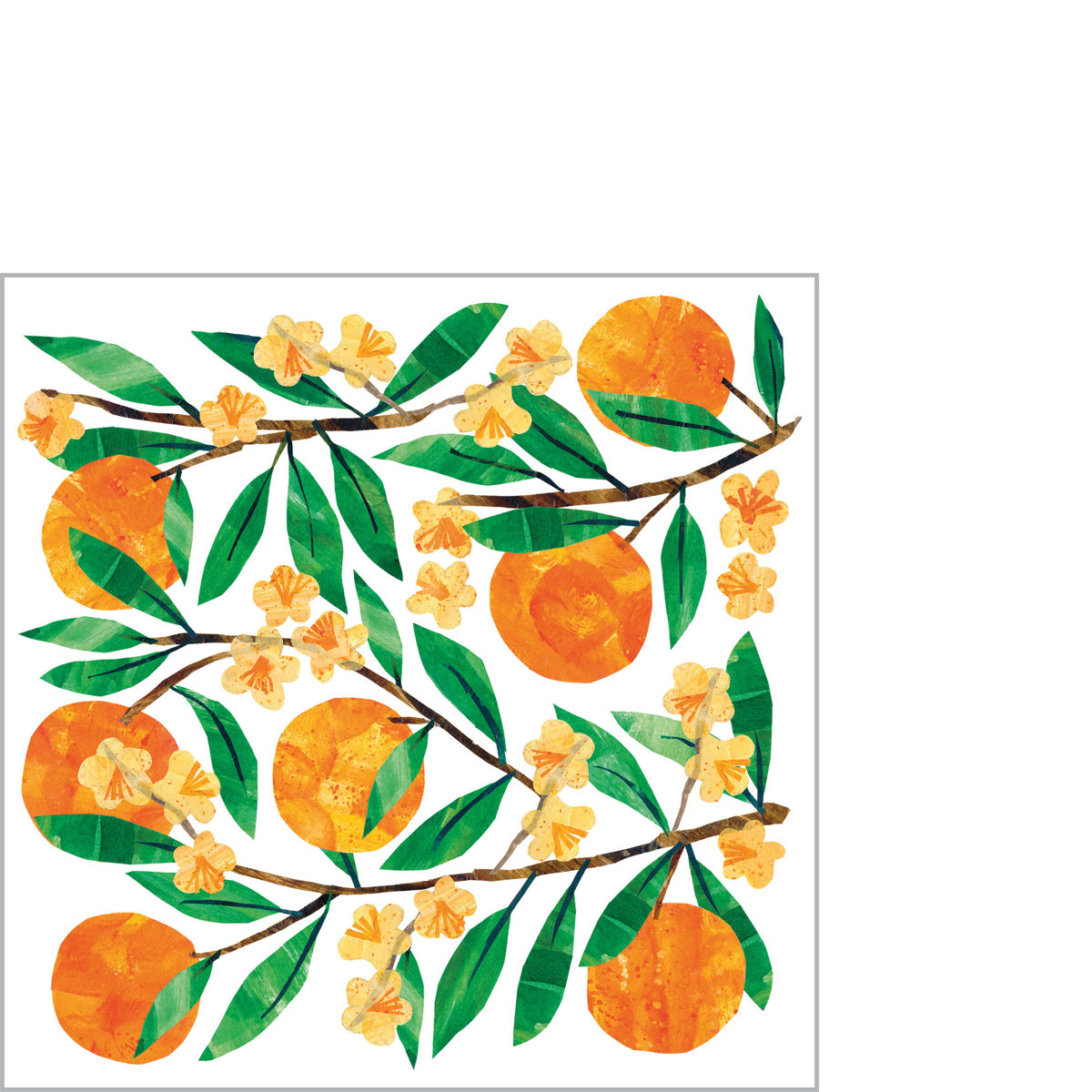 Tracey´s Orangina Napkin 25x25 Tracey´s Orangina Napkin 25x25