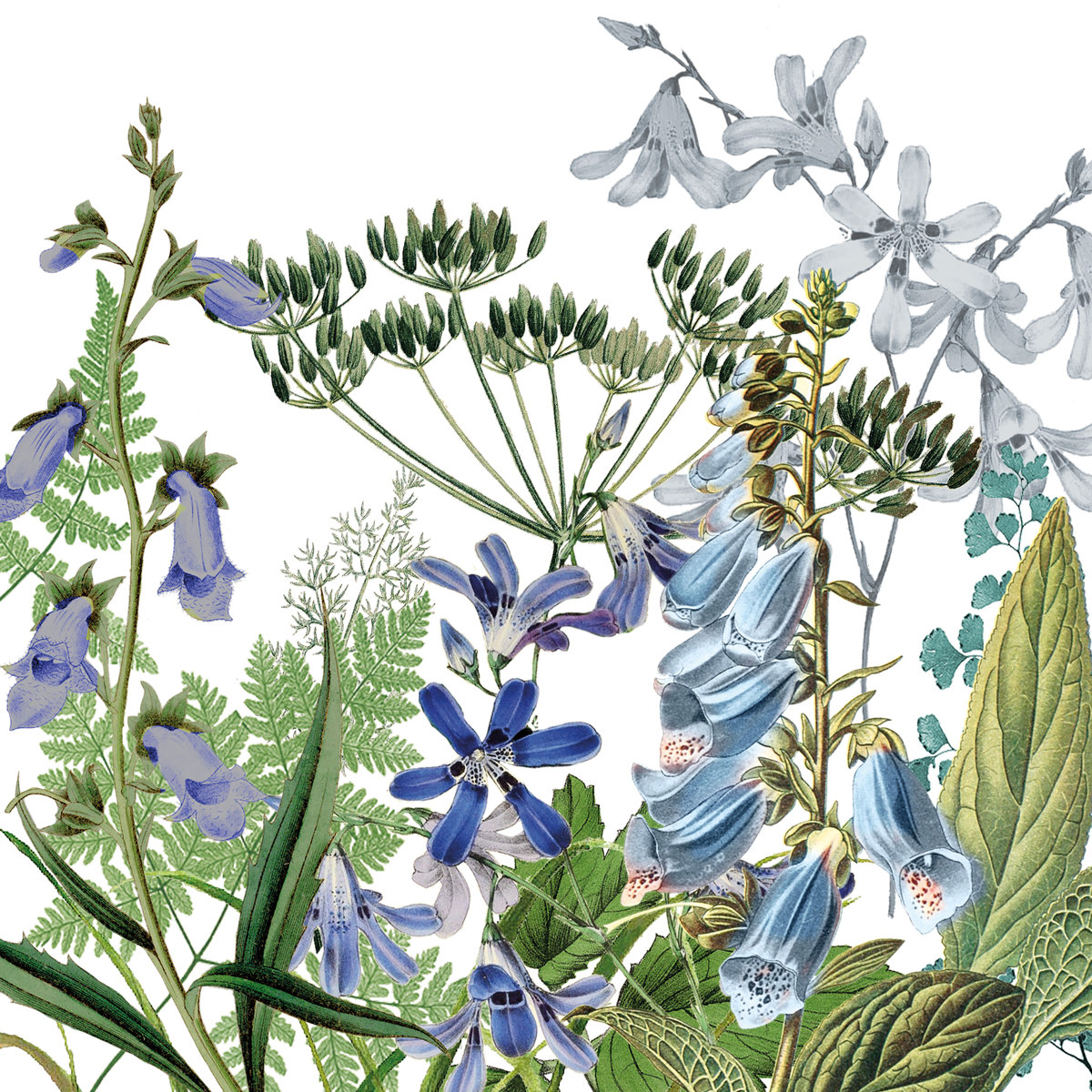 Donatella Napkin 33x33 Donatella Napkin 33x33