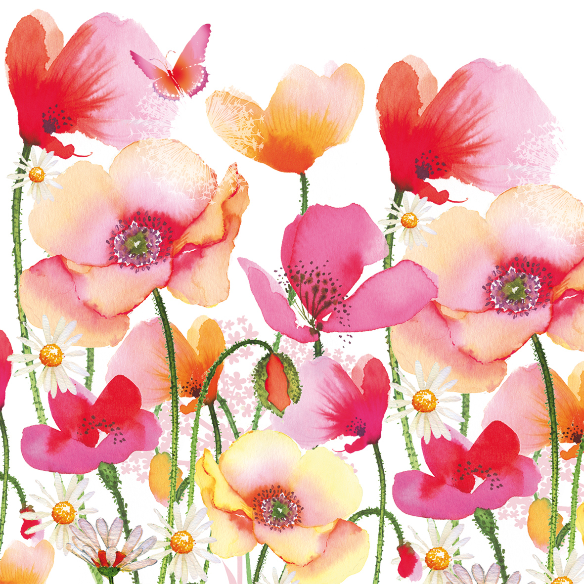 Aquarell Poppies & Daisies 33x33cm Aquarell Poppies & Daisies 33x33cm