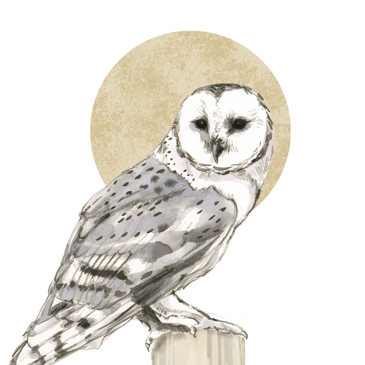 Yvette Napkin 33x33 Yvette Napkin 33x33