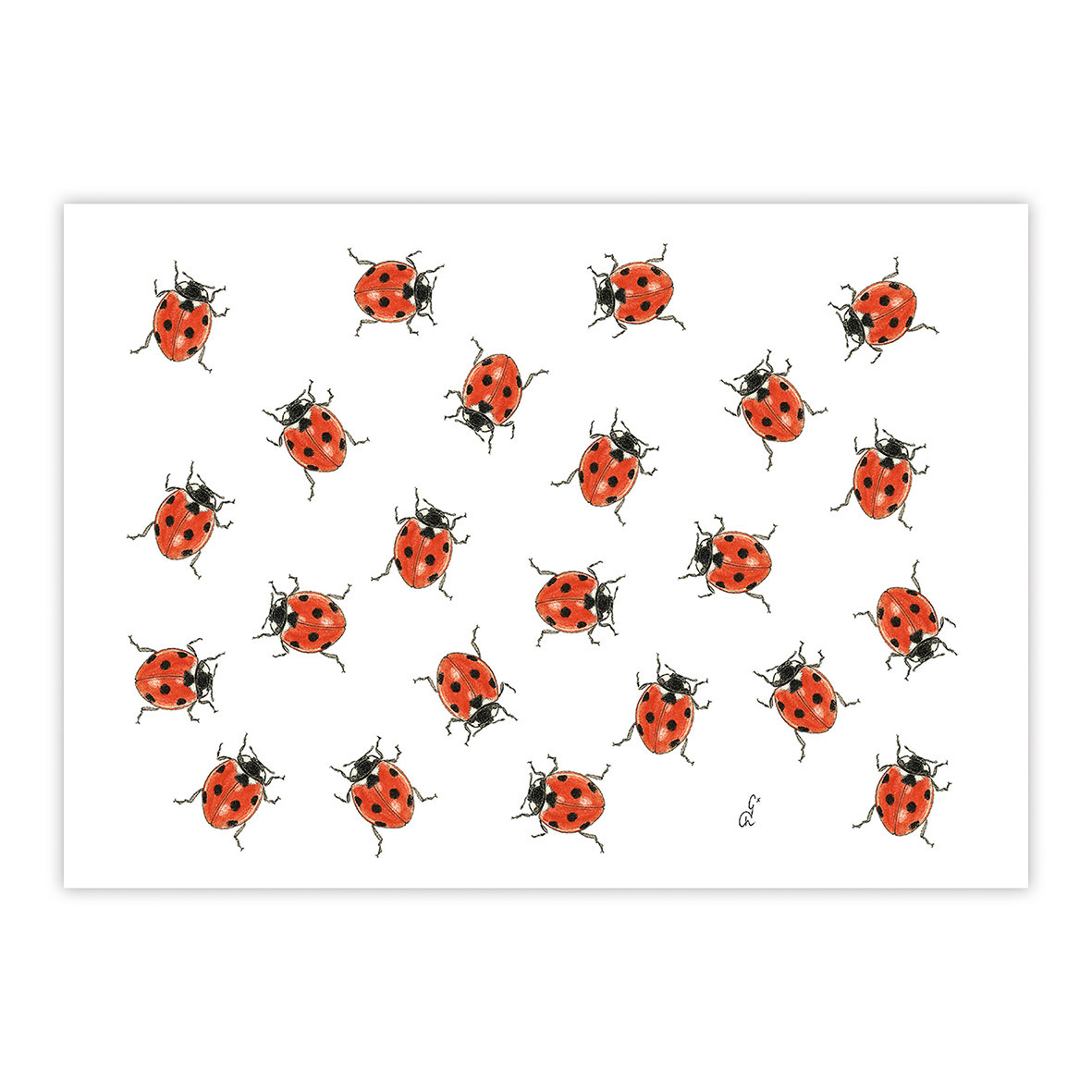 Madeleine sur blanc Postcard Madeleine sur blanc Postcard