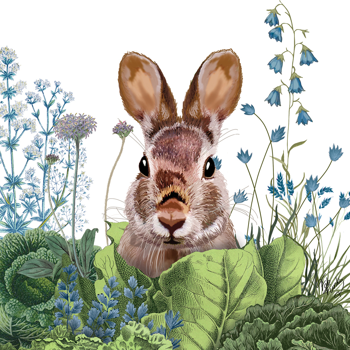 Chou Chou Bunny 25x25 cm Chou Chou Bunny 25x25 cm