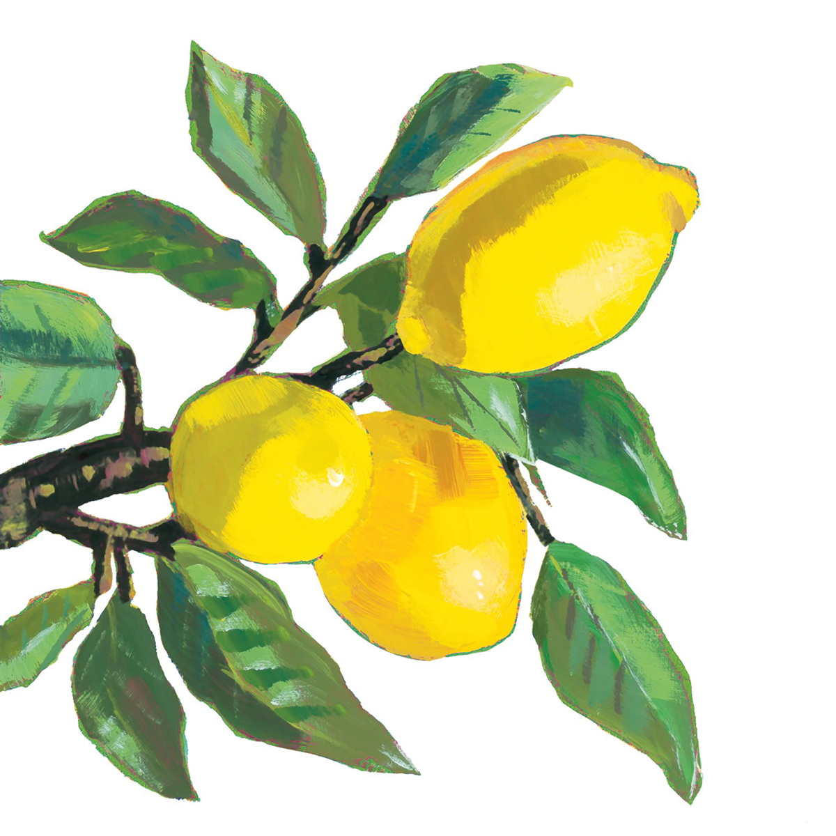 Lemon Musée white 33x33 cm