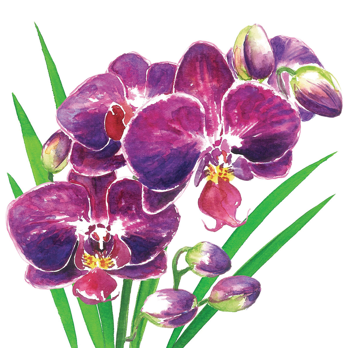 Orchidea Napkin 33x33