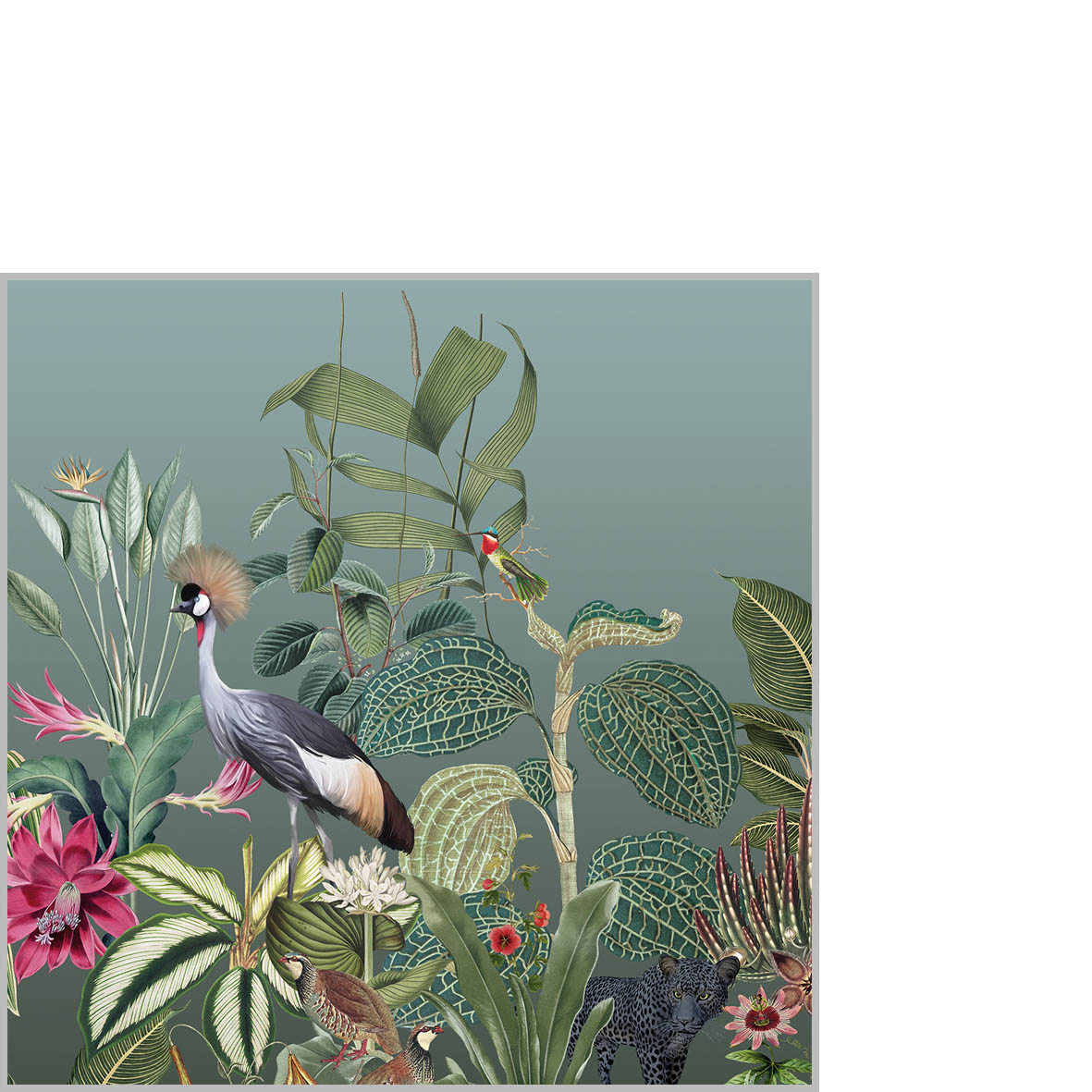 Amazonas Napkin 25x25 Amazonas Napkin 25x25