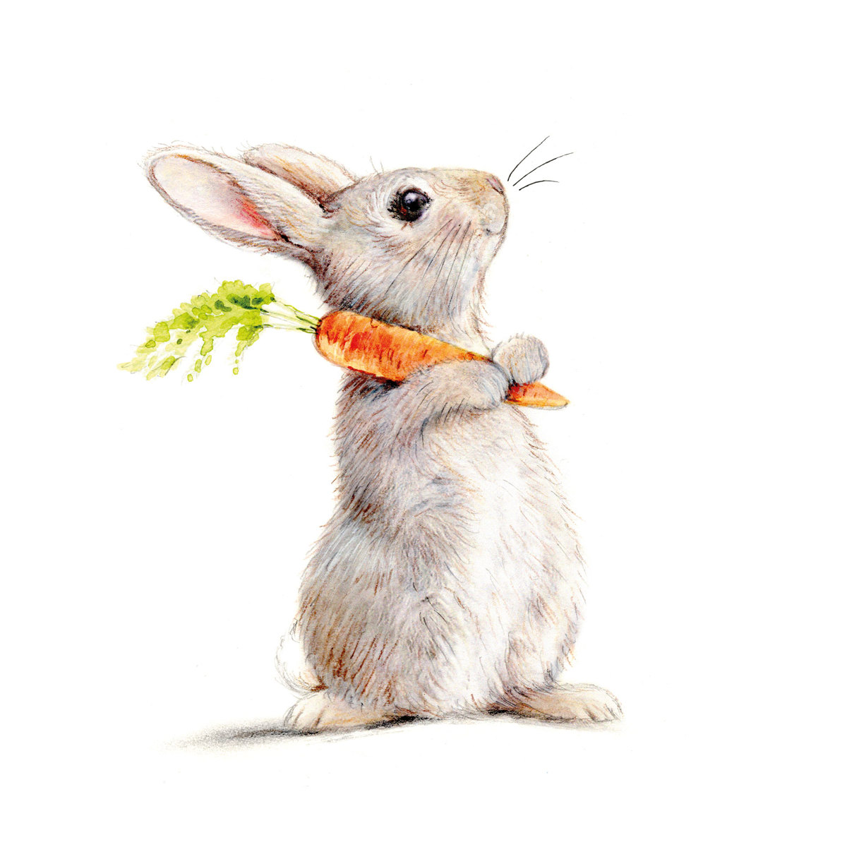 Rabbit & Carrot Napkin 33x33