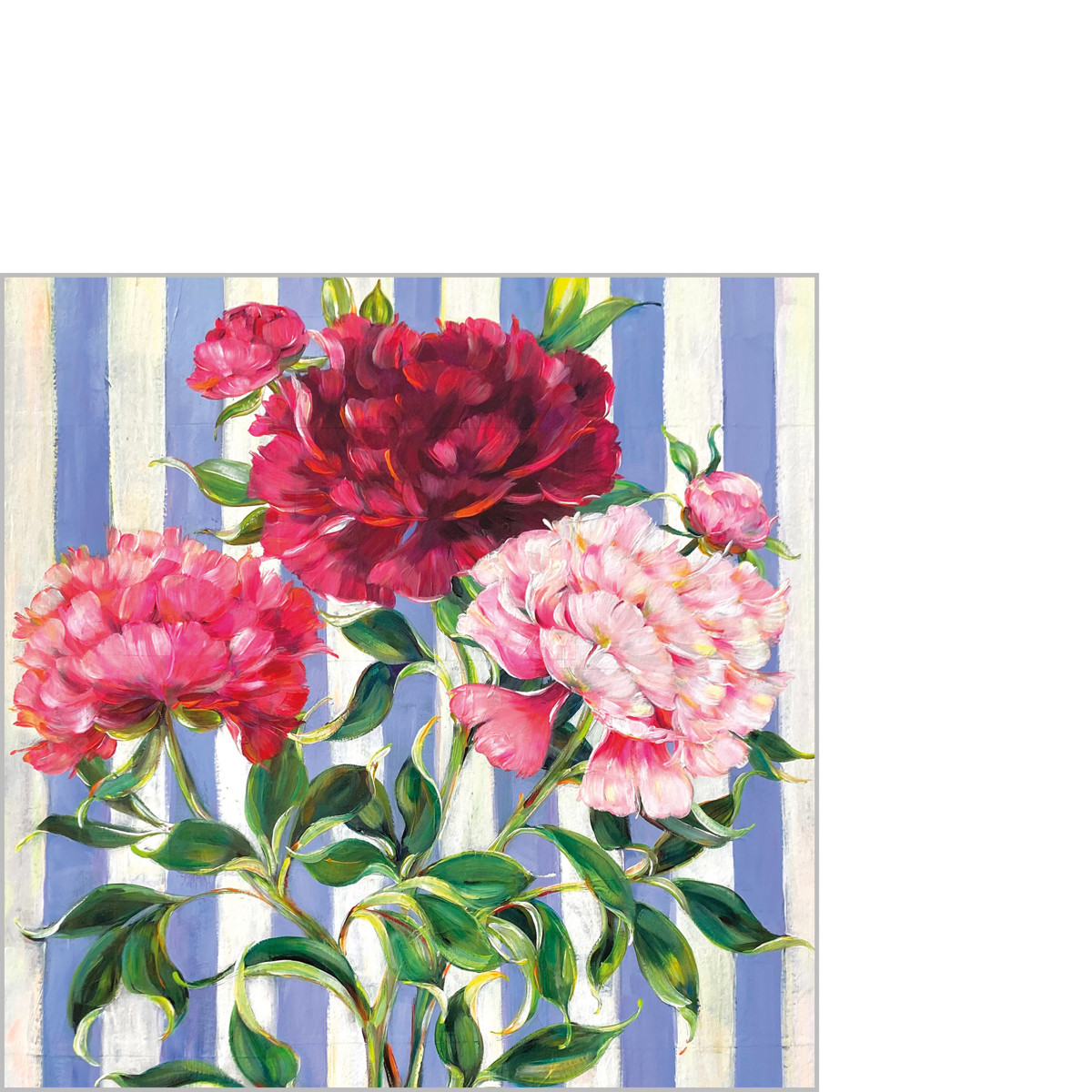 Hikari Napkin 25x25 Hikari Napkin 25x25