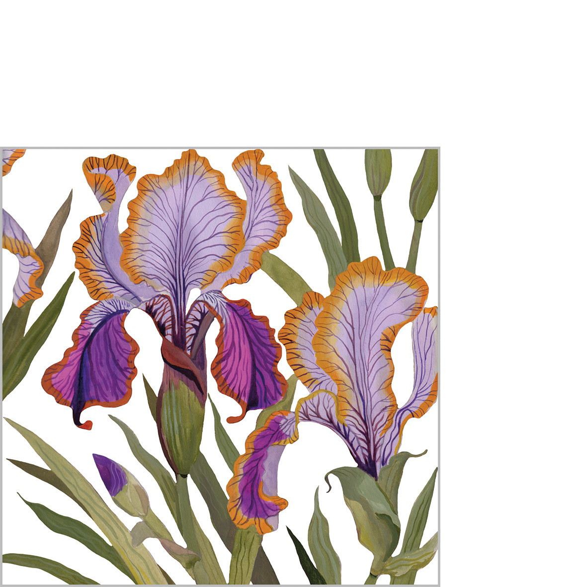 Dominique Napkin 25x25