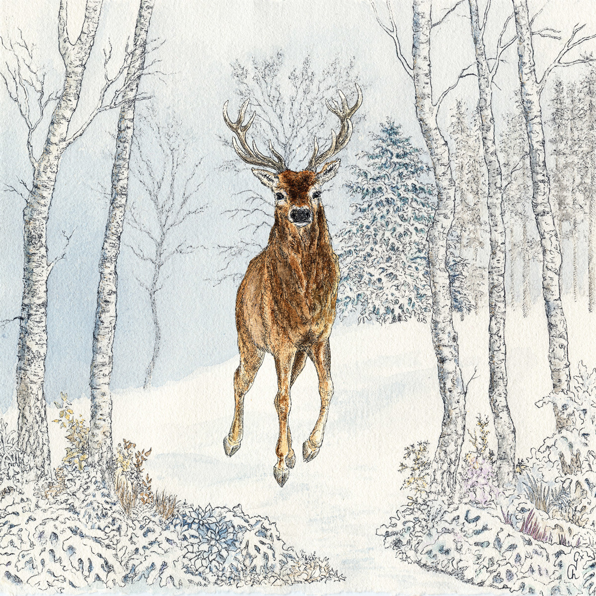 Cerf Hiver Napkin 33x33 Cerf Hiver Napkin 33x33