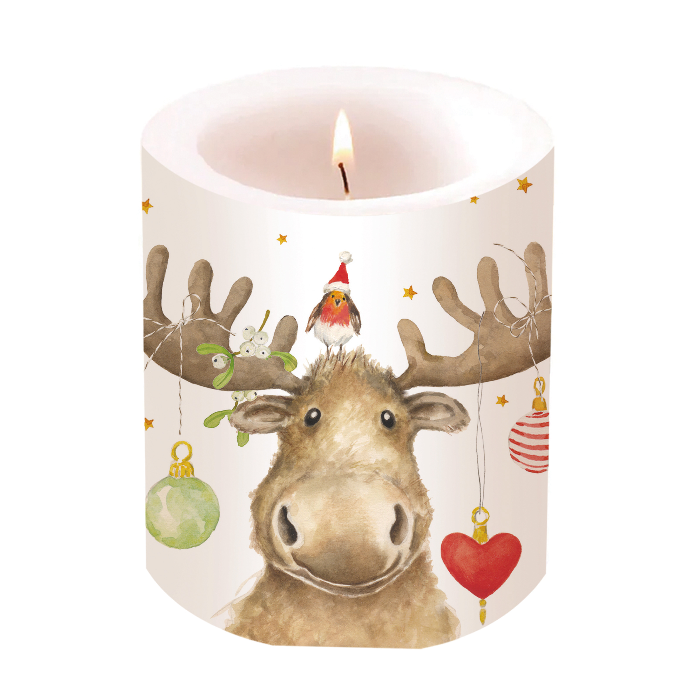 Elmo & Friend Candle large