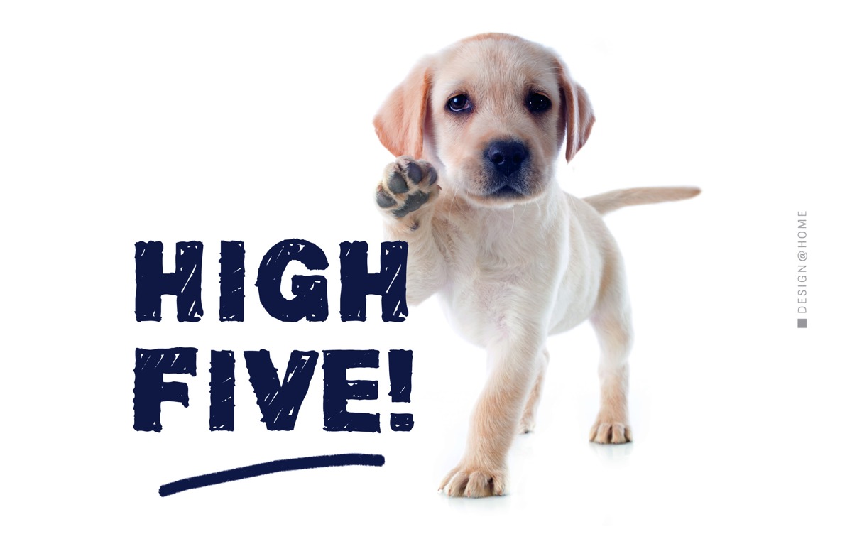 Tray High Five Tray High Five