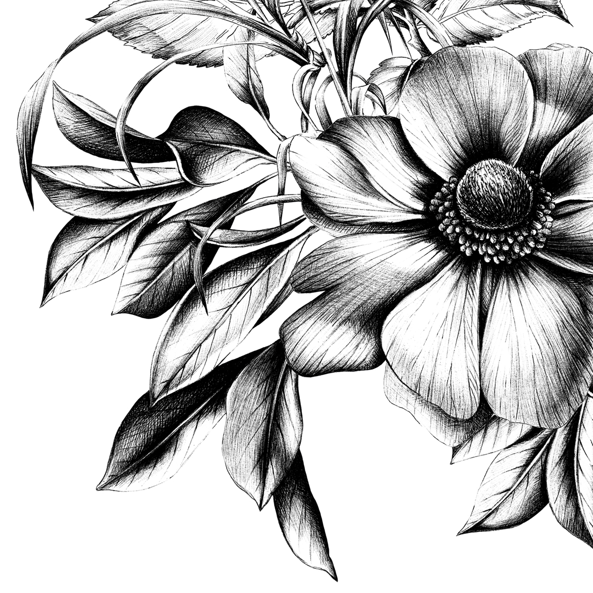 Natasha Napkin 33x33 Natasha Napkin 33x33