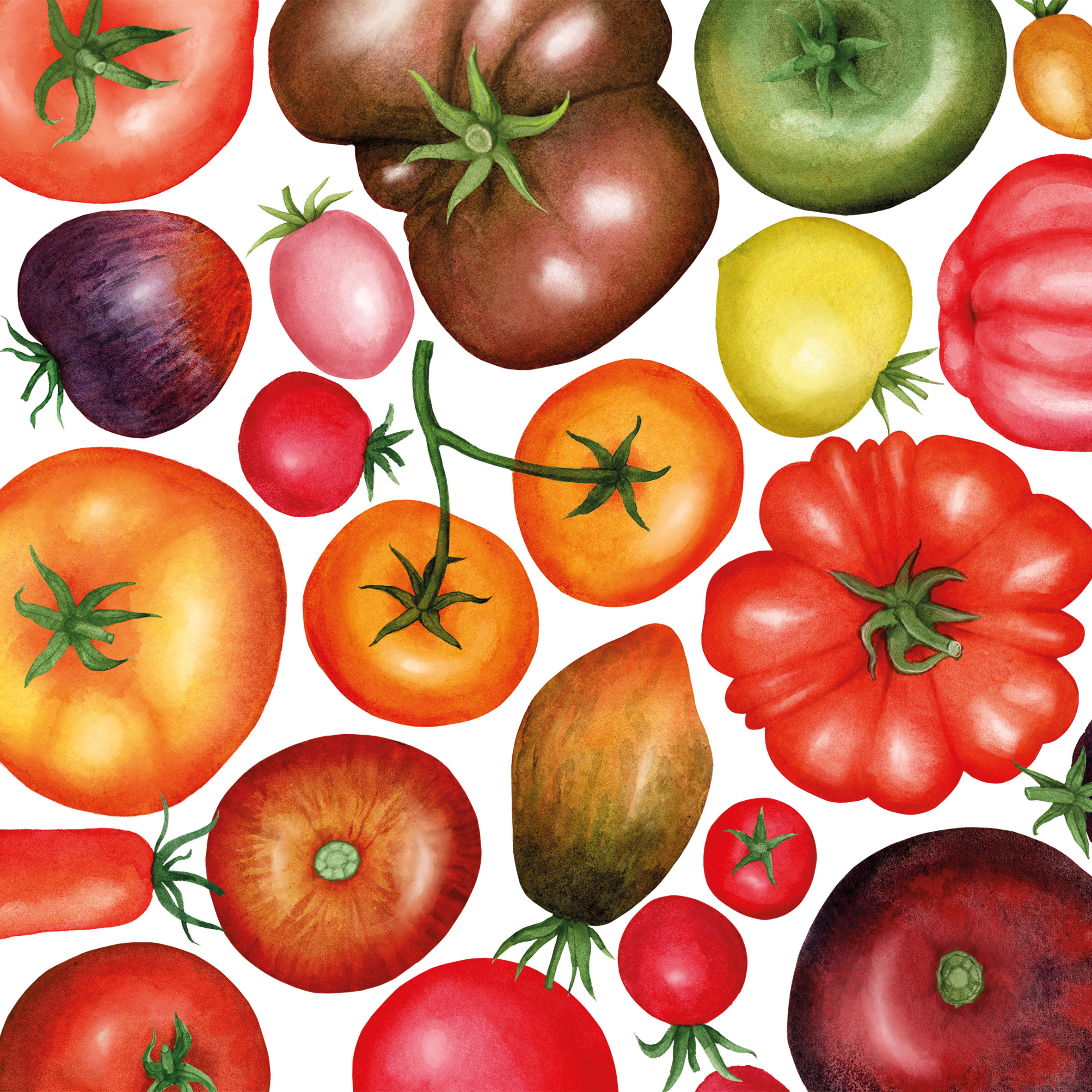 Tomato Mix Napkin 33x33