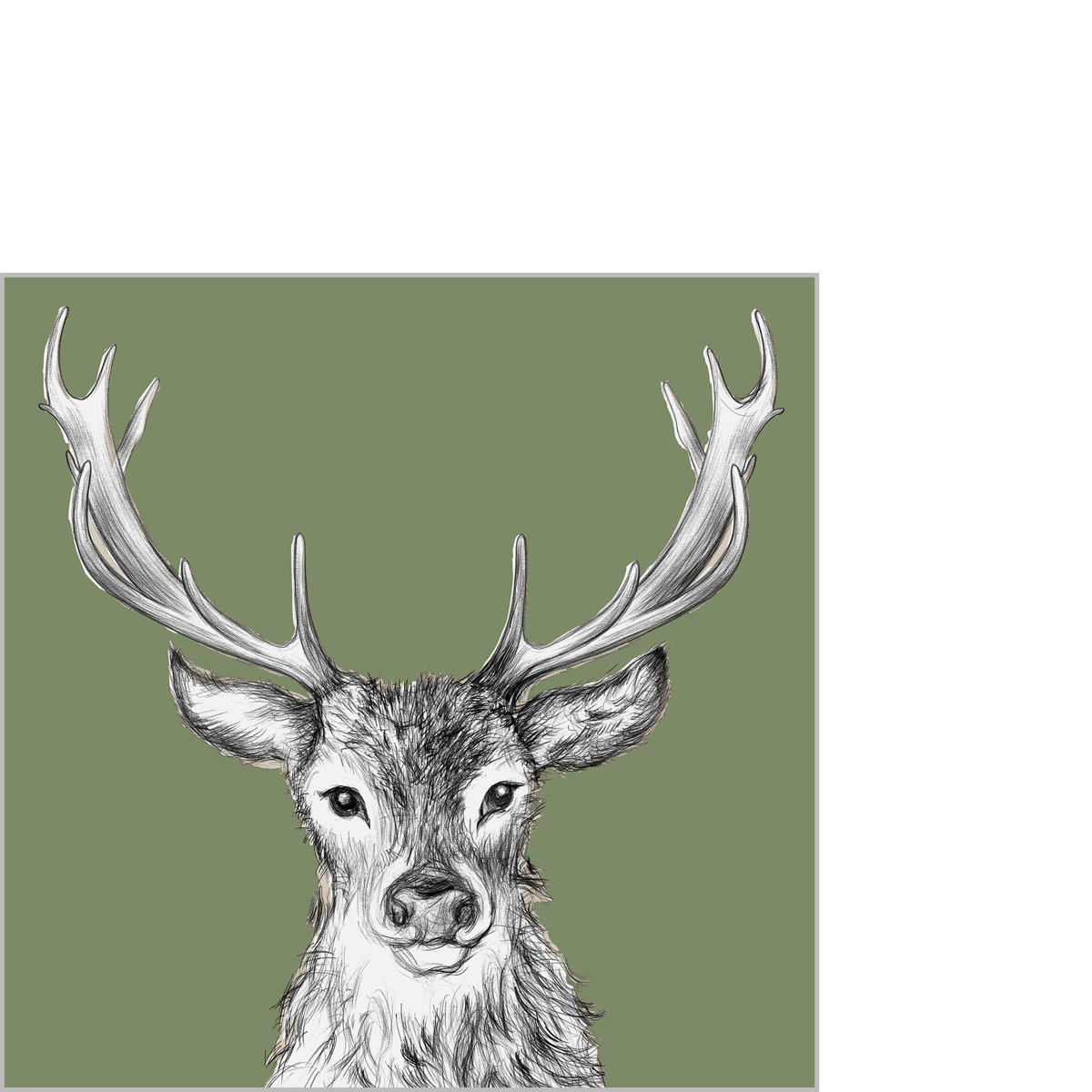 Paul green Napkin 25x25