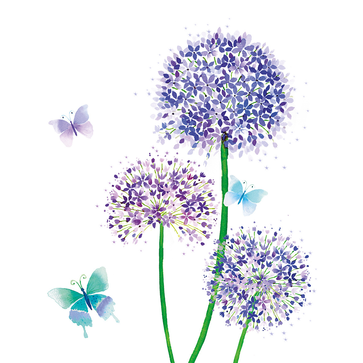 Allium 33x33 cm Allium 33x33 cm