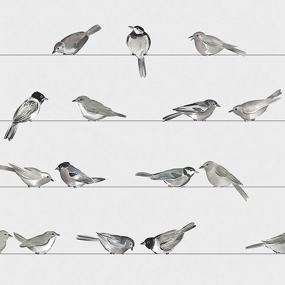 Birds Napkin 25x25
