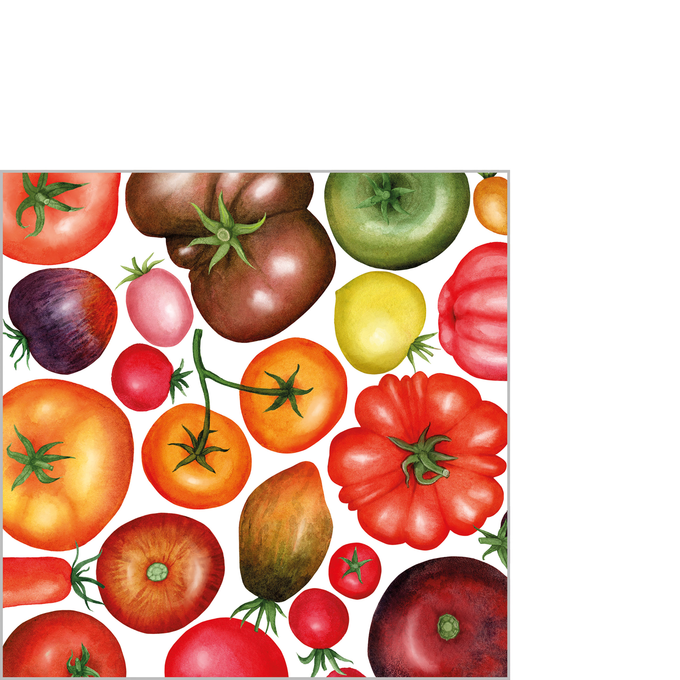Tomato Mix Napkin 25x25
