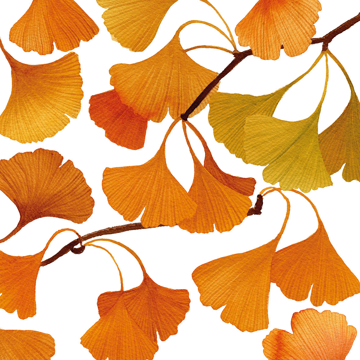 Gingko Napkin 33x33
