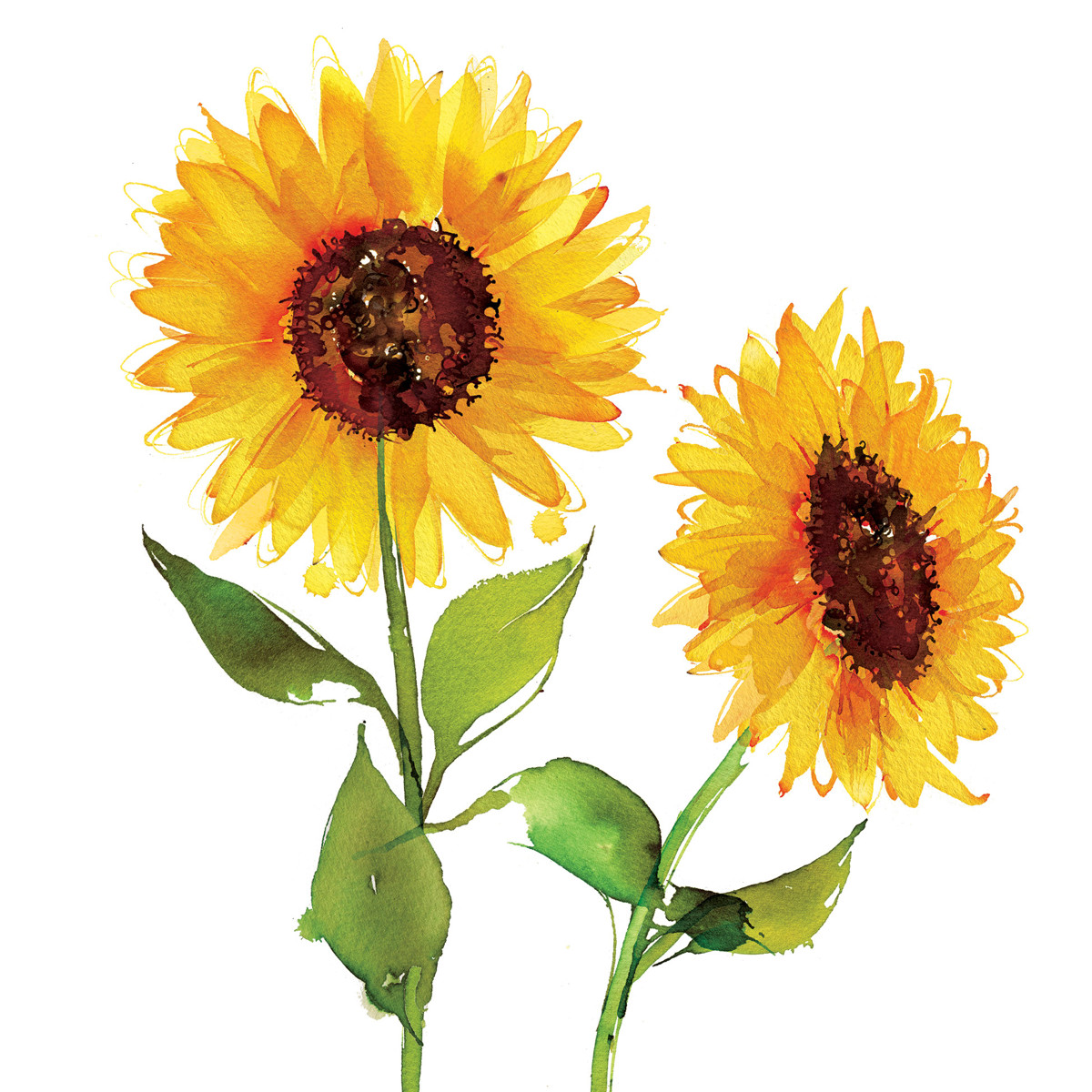 Two Sunflowers Napkin 33x33 Two Sunflowers Napkin 33x33