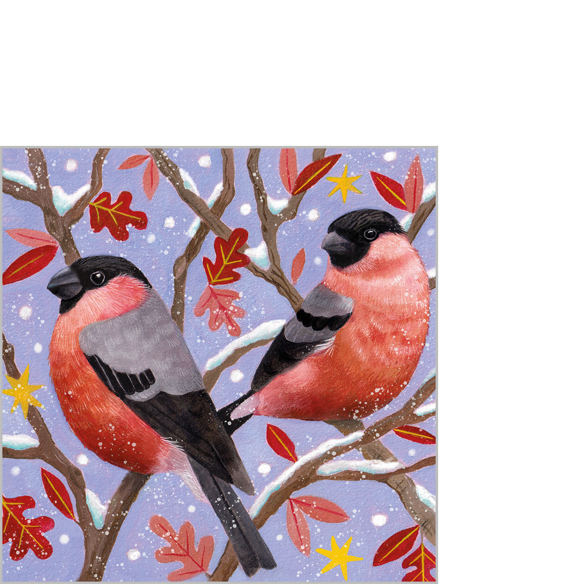 Fiiona & Fabio Napkin 25x25