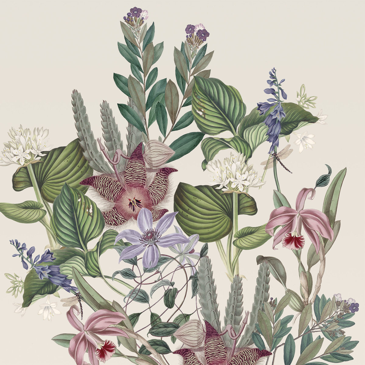 Antigua Napkin 33x33 Antigua Napkin 33x33