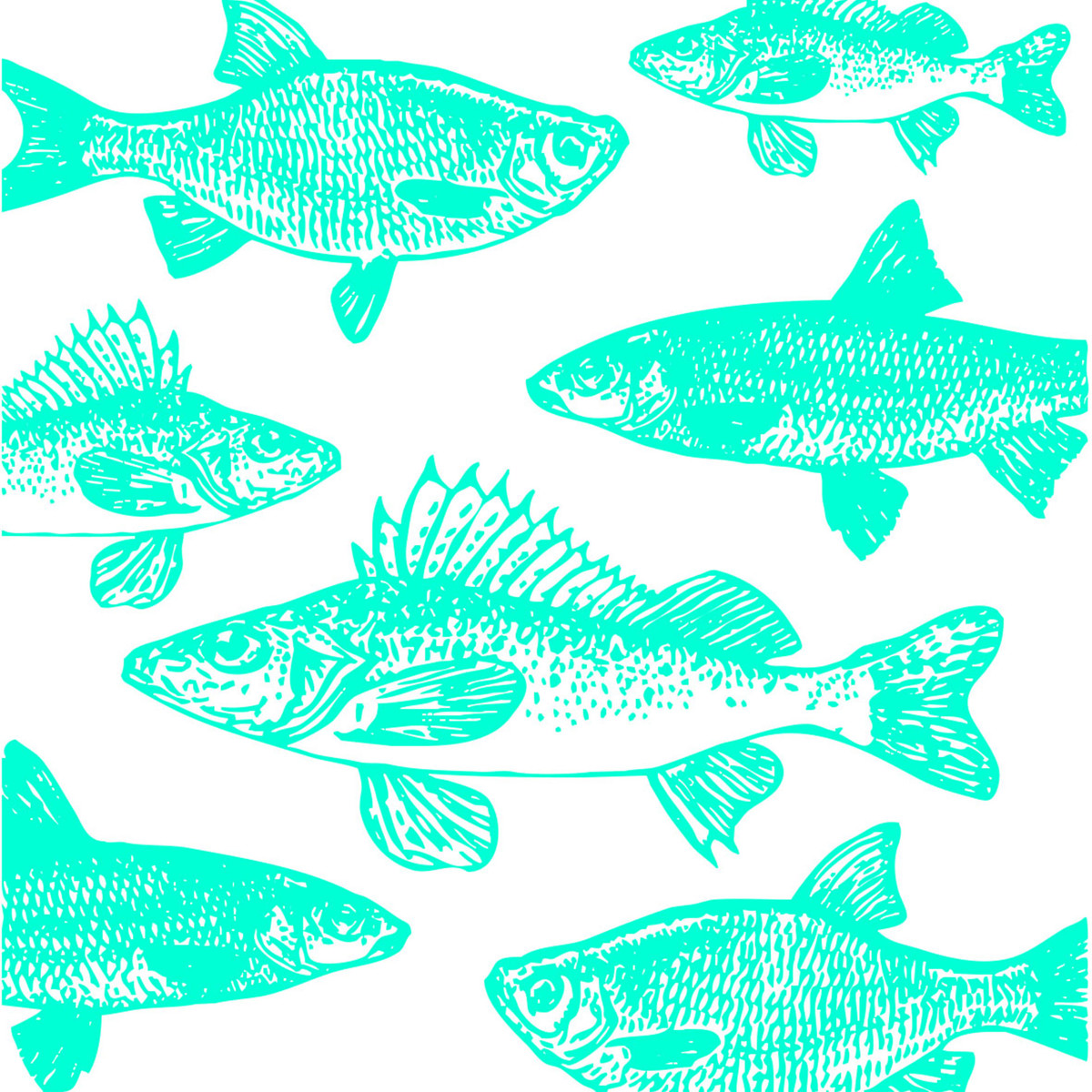 Graphic Fishes aqua Napkin 33x33