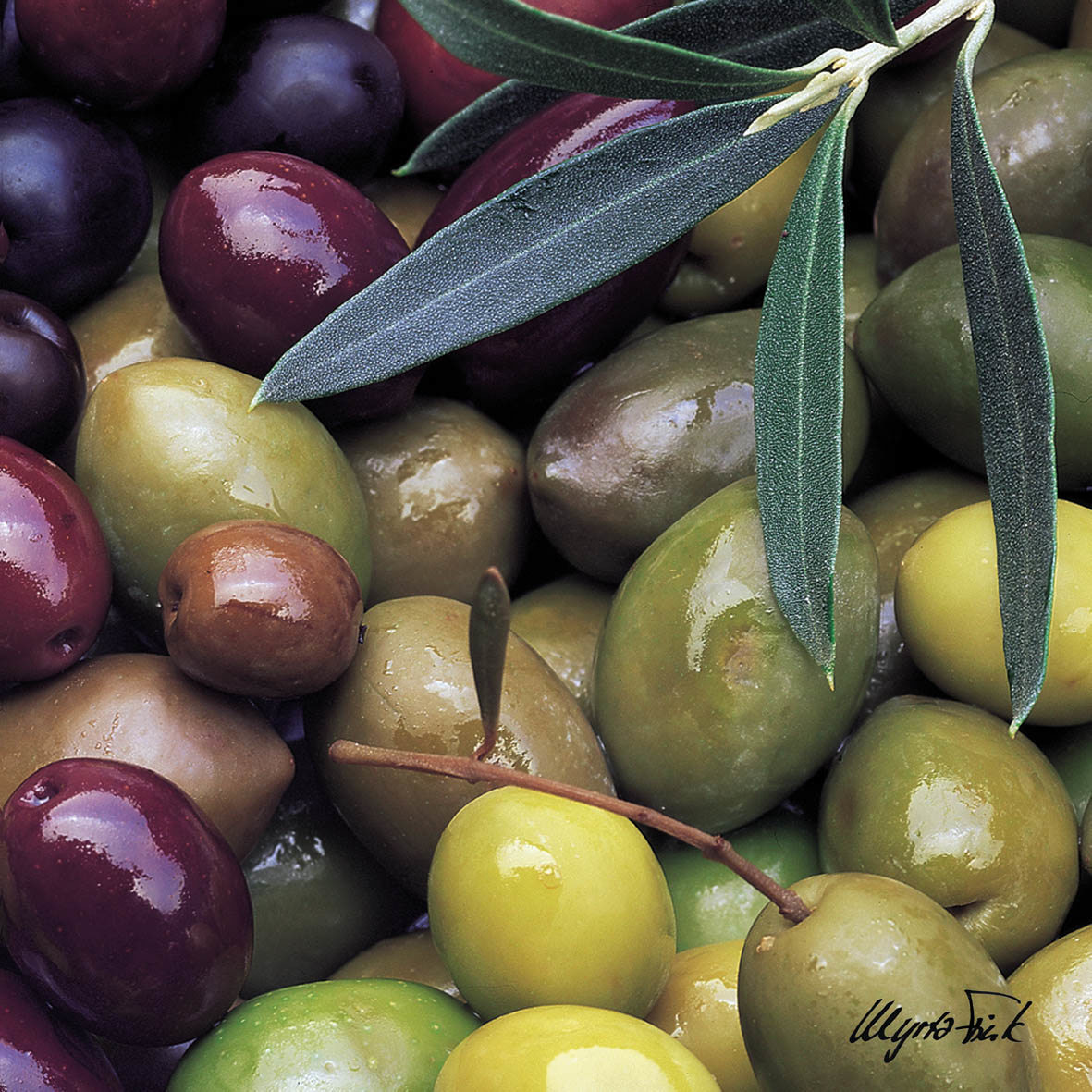 Mixed Olives Napkin 33x33