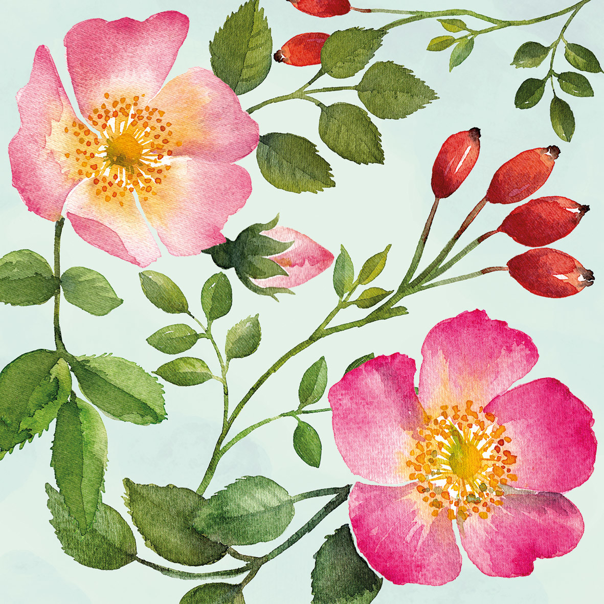 English Rose Napkin 33x33